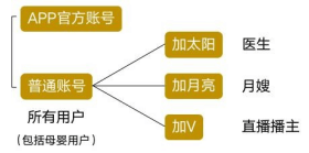 用戶賬號分類及各角色權益